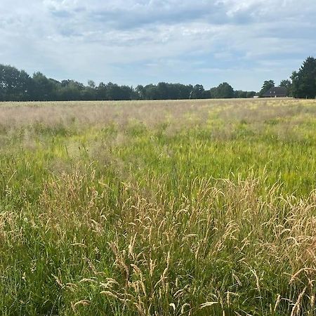Kunst Und Natur In Worpswede Apartment Bagian luar foto