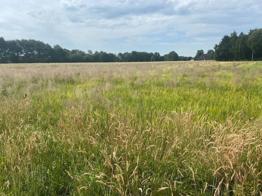 Kunst Und Natur In Worpswede Apartment Bagian luar foto